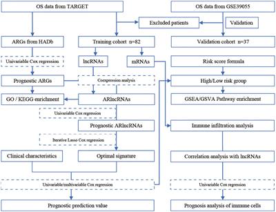 Development of a Machine Learning-Based Autophagy-Related lncRNA Signature to Improve Prognosis Prediction in Osteosarcoma Patients